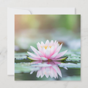 LOTUS - ZEN BUDISMO - Cartões de saudação