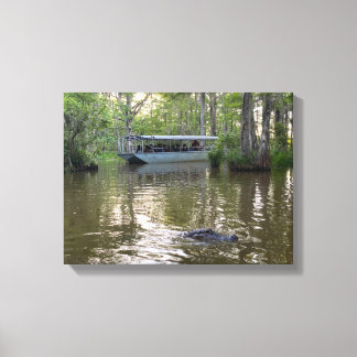 Louisiana Swamp Tour Canvas Print