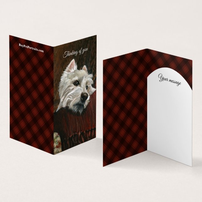 Lounging Westie em Sofa (Interior e exterior)