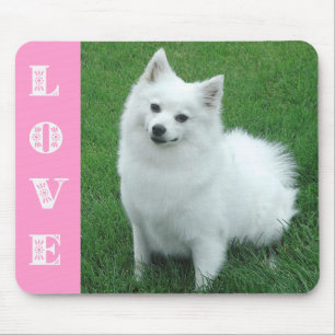 Love American Eskimo Puppy Dog Mousepad