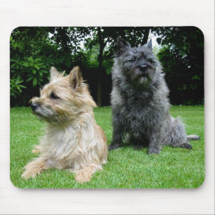 Love Cairn Terrier Puppy Dog Mousepad