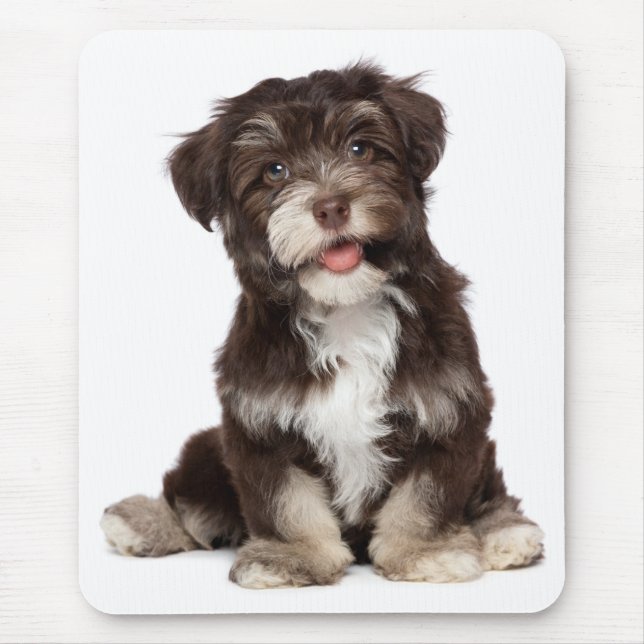 Love Havanese Puppy Dog Mousepad (Frente)