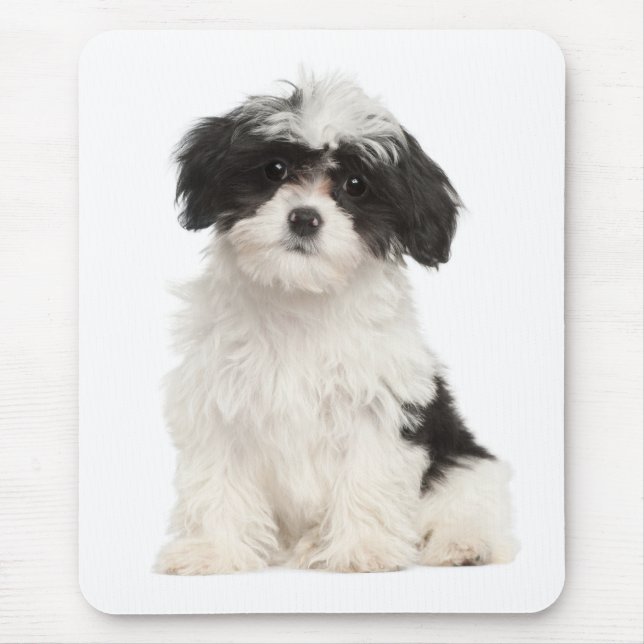 Love Havanese Puppy Dog Mousepad (Frente)