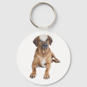Love Rhodesian Ridgeback Puppy Dog Chaveiro