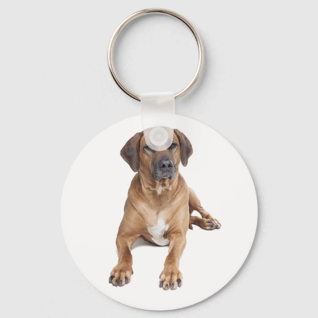 Love Rhodesian Ridgeback Puppy Dog Chaveiro (Frente)