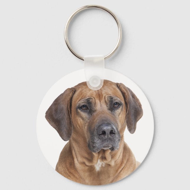 Love Rhodesian Ridgeback Puppy Dog Chaveiro (Frente)