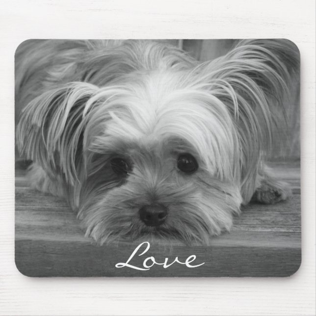 Love Yorkshire Terrier Puppy Dog Mousepad (Frente)