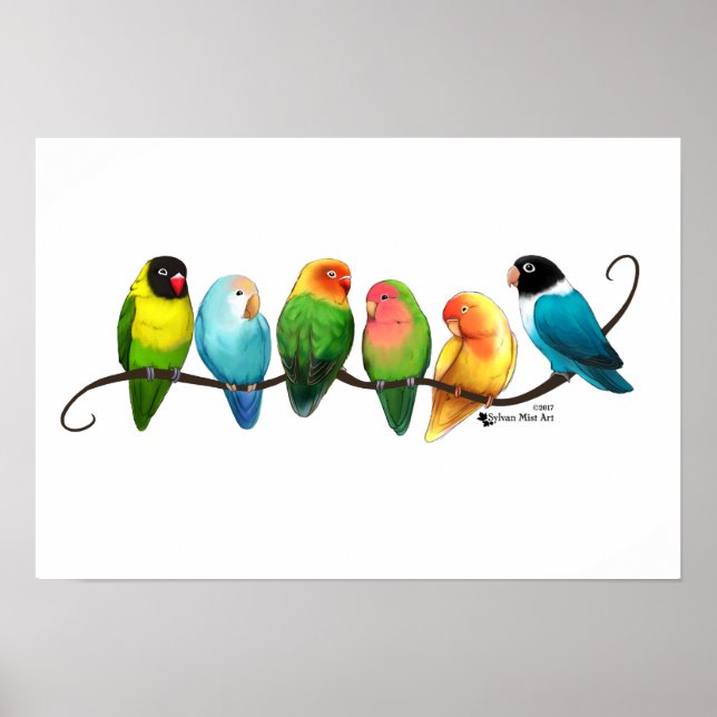 Lovebird Poster (Frente)