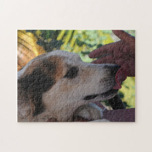 Lovely Dog - Brincando com seu Quebra-cabeça de f