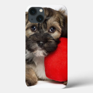 Lover Valentine Havanese Puppy Dog