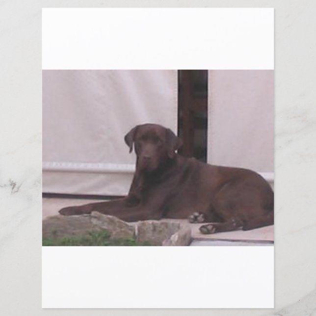 LR — colocação em laboratório de chocolate (Frente)