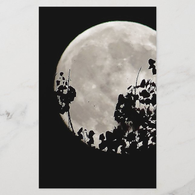 Lua atrás das folhas escuras (Frente)