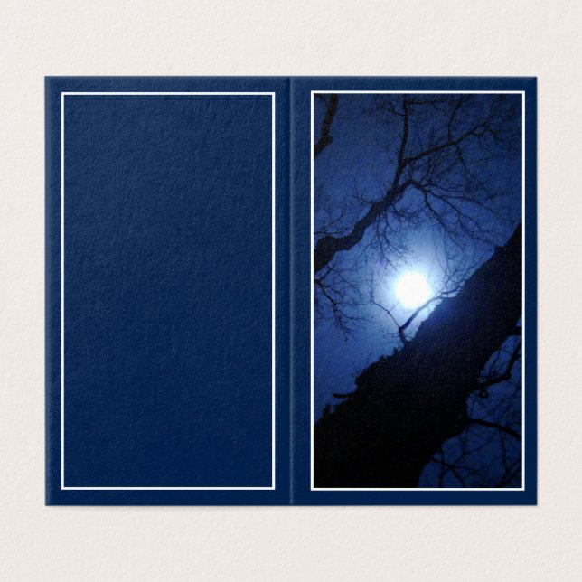 Lua Cheia da Meia-Noite Através de uma Grande Árvo (Exterior Desdobrado)