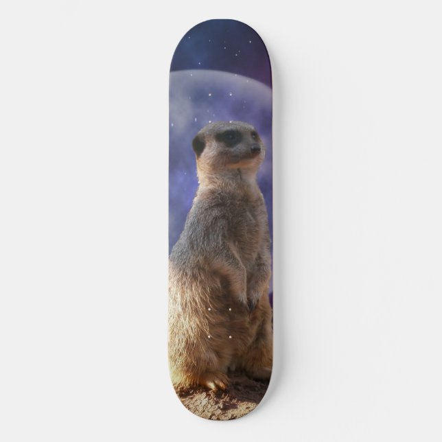 Lua Cheia E Meerkat, skate (Frente)