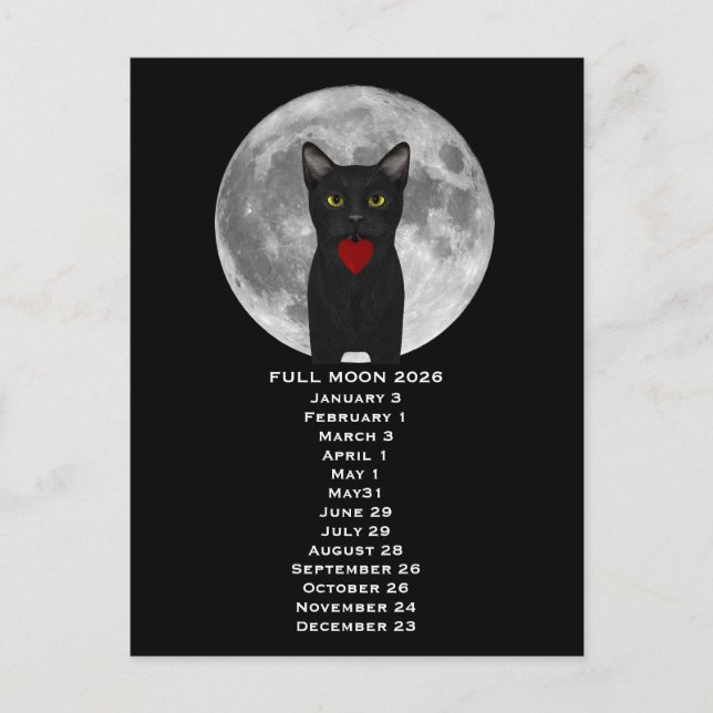 Lua Cheia Gato 2026 Cartão Postal (Frente)