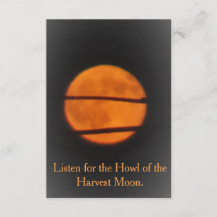 Lua cheia - milha da pradaria - convite