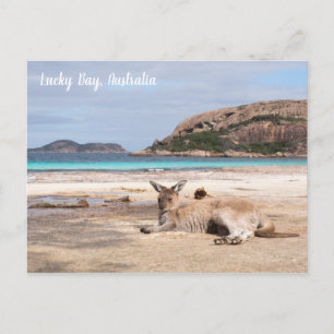 Lucky Bay Beach Kangaroo, cartão postal da Austr