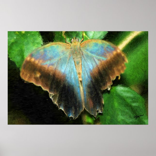 LUCY'S BUTTERFLY IMPRESSÃO (Frente)