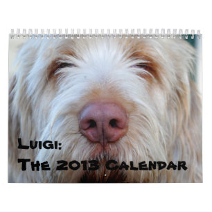 Luigi: O calendário 2013
