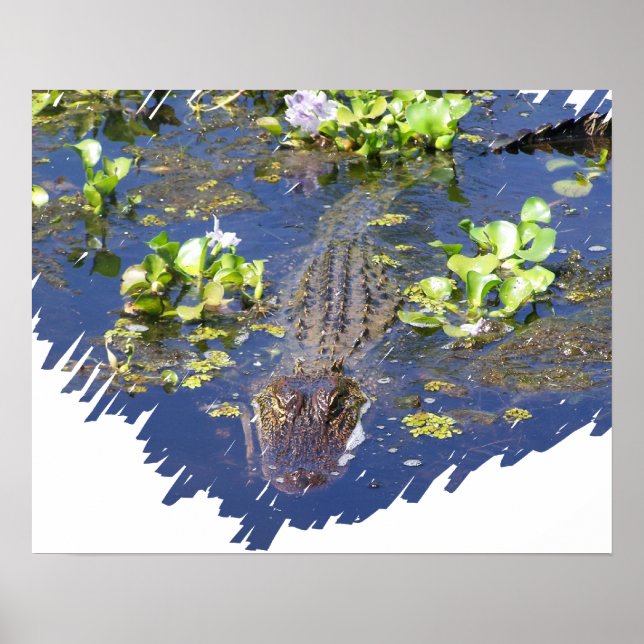 Luisiana Swamp Gator Hunter Poster (Frente)