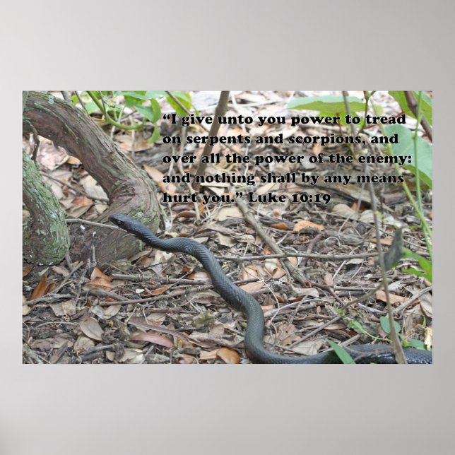 Luke 10:19 Poster de Escritura (Frente)