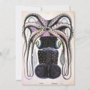 Lula ou polvo gigante da Vintage, animal da marinh