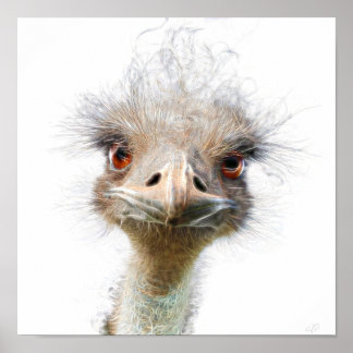 Luminoso Emu art Poster