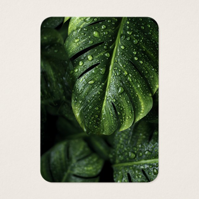Lush Monstera Leaves with Morning Dew Drops (Frente)