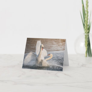 Lutando contra o Cartão com fotos da natureza dos 