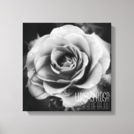 Luxury Rosa：Premium Canvas Print