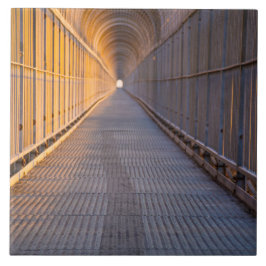 Luz azulejo da foto da extremidade no grande (6" X