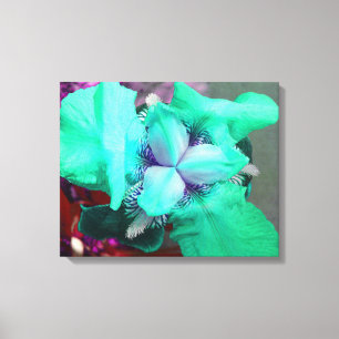 Luz - canvas azuis da íris