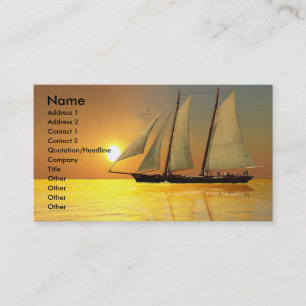 LUZ DA VIDA CARTÃO DE VISITA