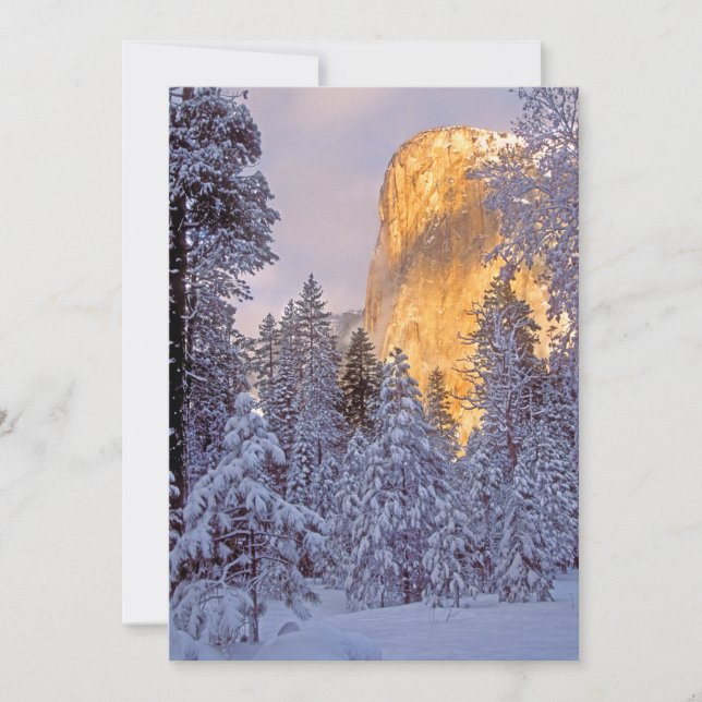 Luz de Inverno em El Capitan no Yosemite (Frente)