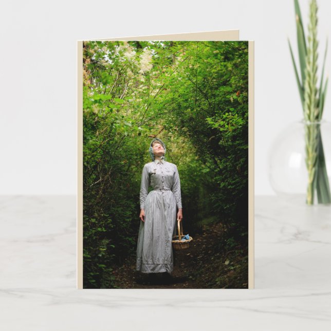 Luz do sol no cartão das madeiras (Frente)