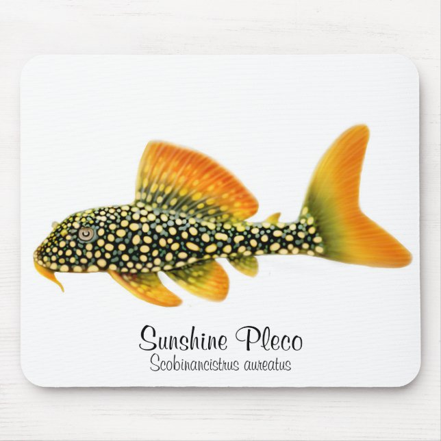 Luz do sol Pleco Mousepad de Goldy (Frente)