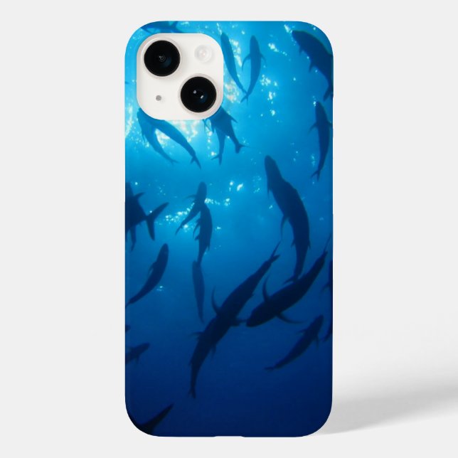 Luz do sol sob o mar Captura de peixe (Verso)