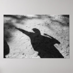 Luz e poster da fotografia da sombra
