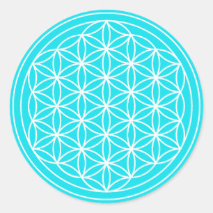 Luz - flor azul da etiqueta da vida