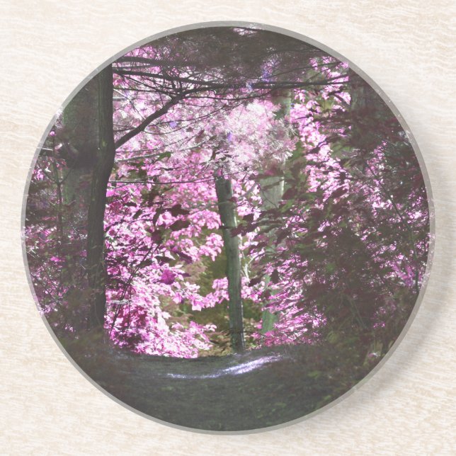 Luz Na Porta copos Natureza Do Caminho (Frente)