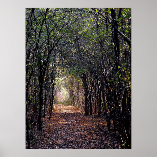 Luz no final do Poster do caminho (Frente)