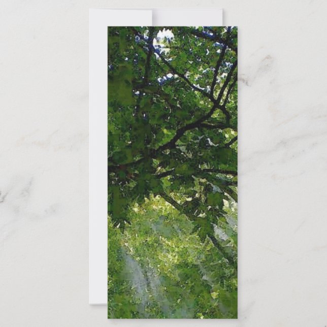 Luz solar através de árvores (Frente)