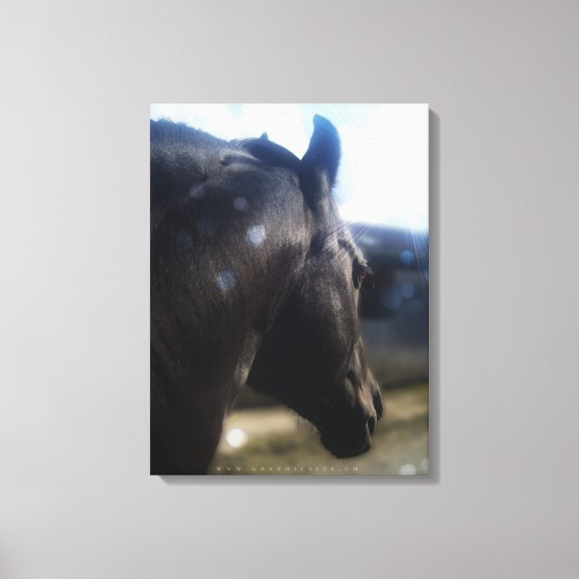 Luz solar - Canvas (Frente)