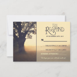 Luzes de jardim árvore casamento rústico RSVP