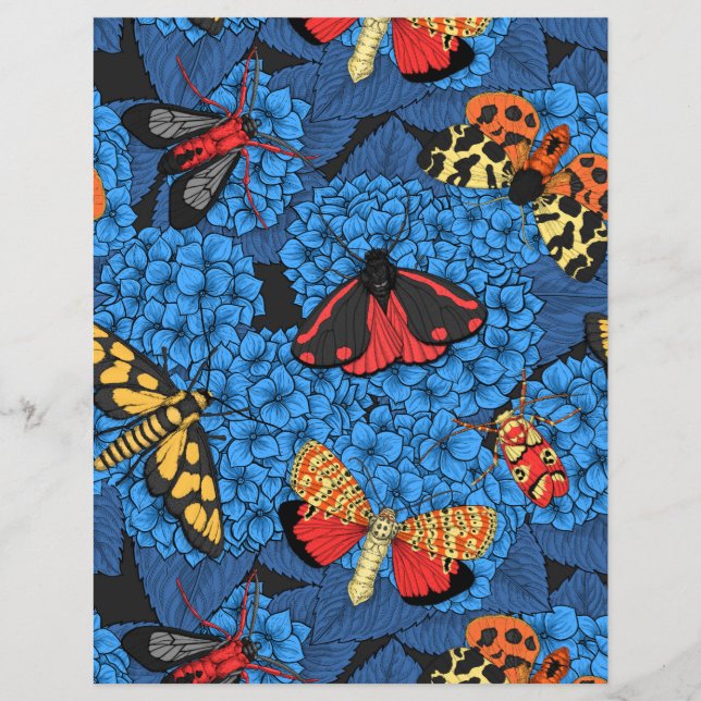 Luzes sobre hidrangea azul (Frente)