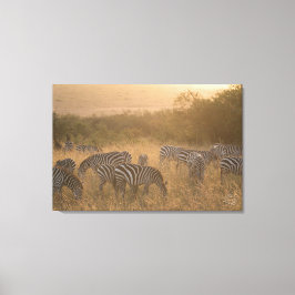Maasai Morning Zebras Canvas