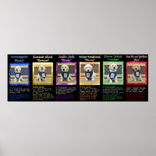 Maca do tempo e poster conhecido das definições 