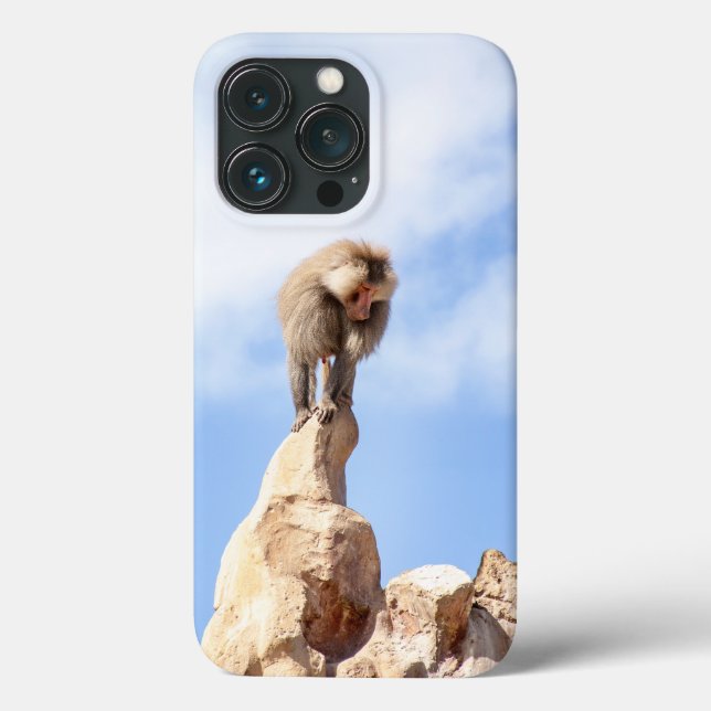 Macaco babuíno no topo de uma montanha (Verso)
