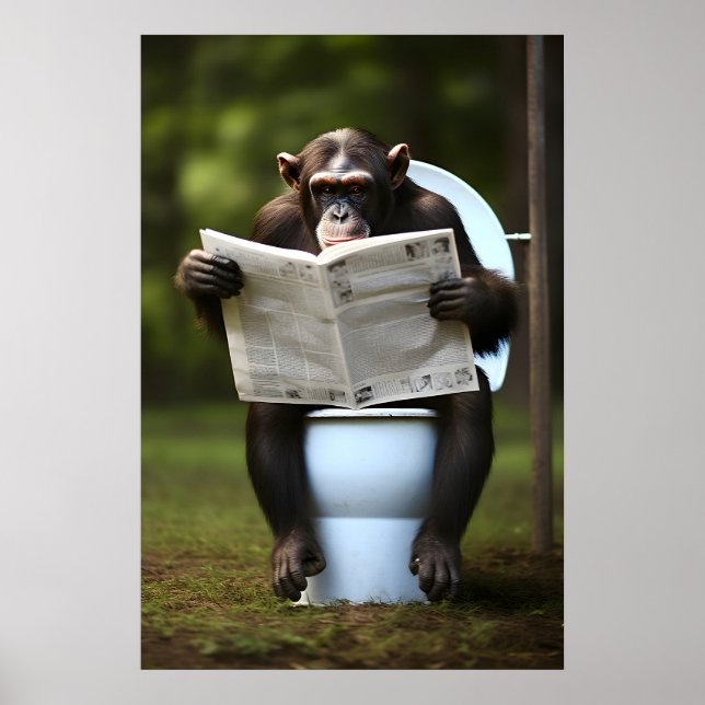 Macaco Chimpanzé Engraçado Impressão Banheiro Maca (Frente)