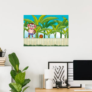 Macaco E Poster De Caracol
